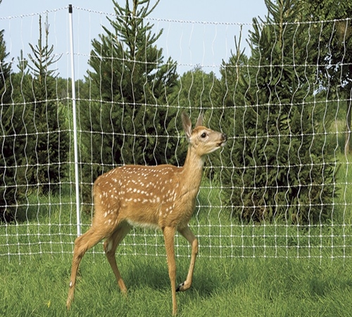 Deer Fencing